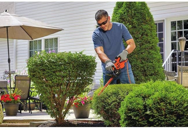 a model holding the hedge trimmer while trimming bushes