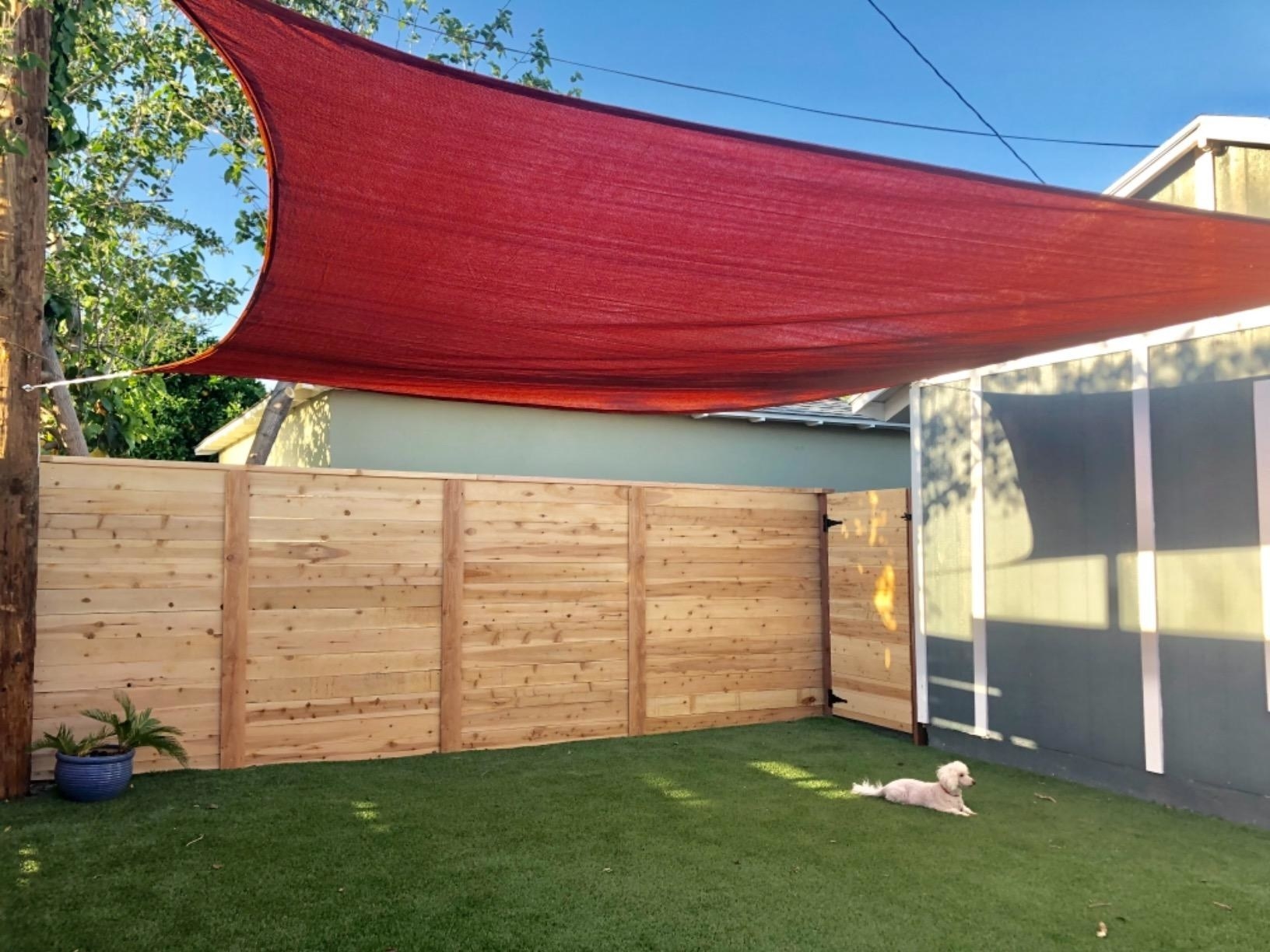 A reviewer&#x27;s photo of a terra-colored sun shade hung in the backyard