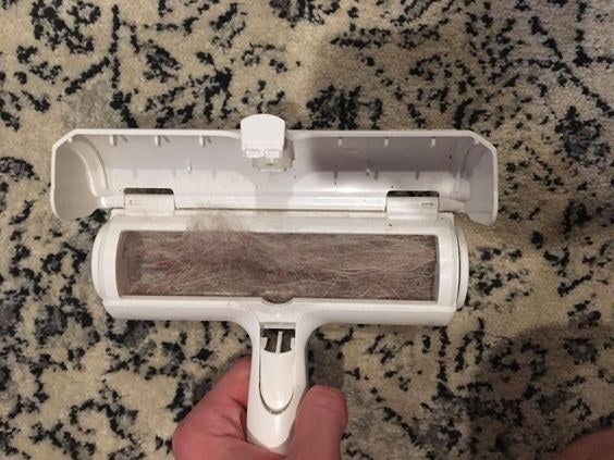 Reviewer&#x27;s picture of the pet hair-removing brush filled with fur