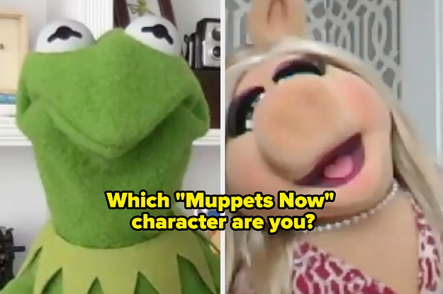 The Cast Of "Muppets Now" Took Our "Which Muppet Are You?" Quiz And Now You Can Too