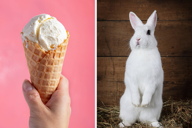 Wanna Know What Ice Cream Flavor Matches Your Personality? Just Pick Some Adorable Animals To Find Out