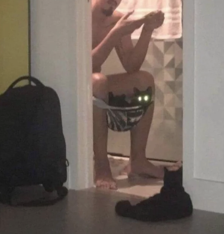 Cat inside a man&#x27;s underwear.