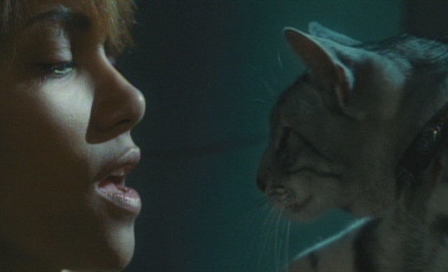 Catwoman whispering to a cat