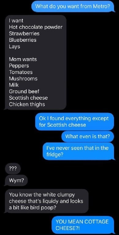 Person misspelling cottage cheese as scottish cheese