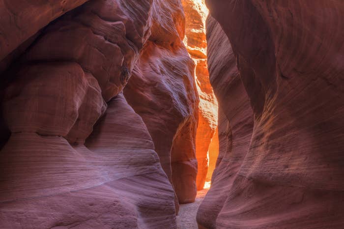 Warm light at an opening in WIre Pass, a narrow slot canyon that feeds into Buckskin Gulch in the Paria Canyon / Vermillion Cliffs WIlderness,