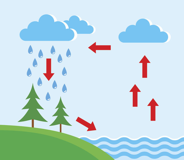 Precipitation Quiz