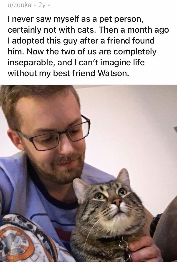 Man lovingly looks down to the adorable cat he adopted just one month prior