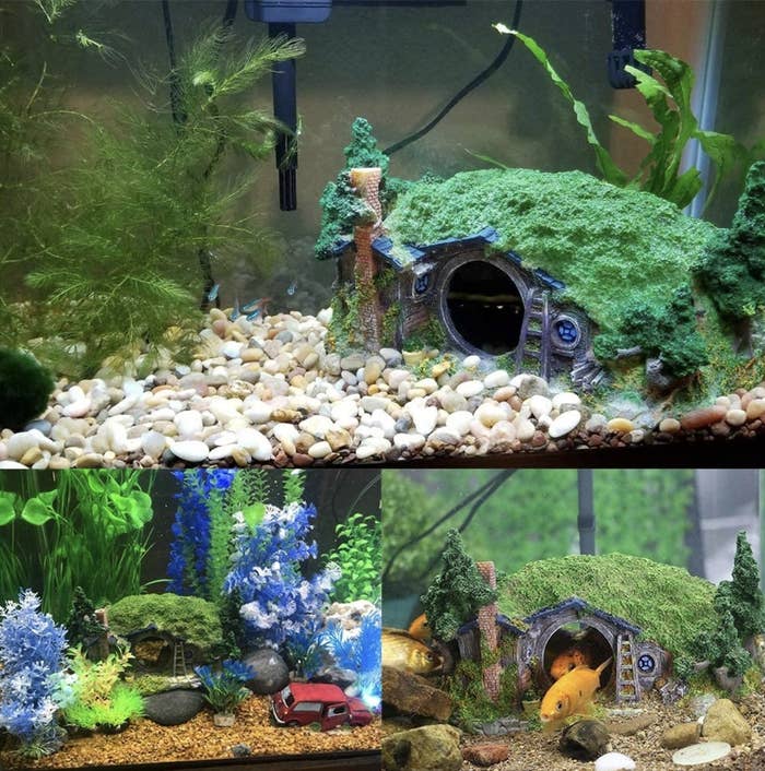 Just 26 Fintastic Things From  To Buy Your Fish