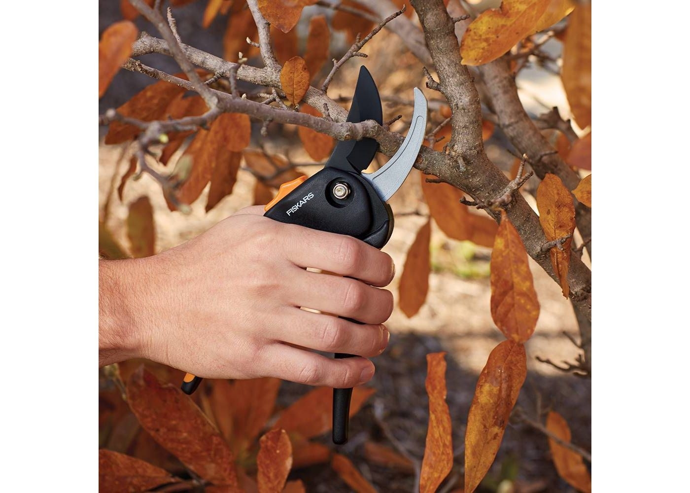 A model cutting a branch with the pruner 