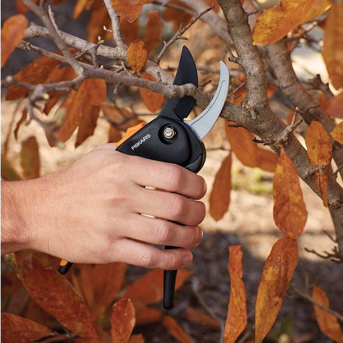 A model cutting a branch with the pruner 