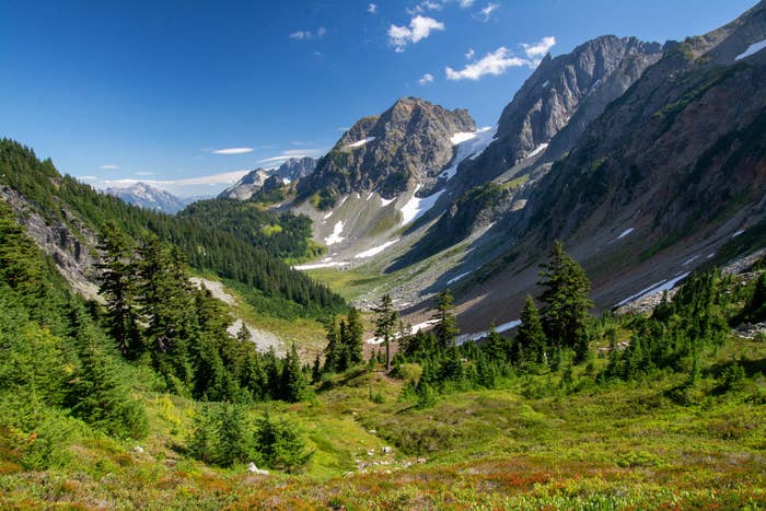 Snow-capped mountains surrounded by green meadows in North Cascades National Park.