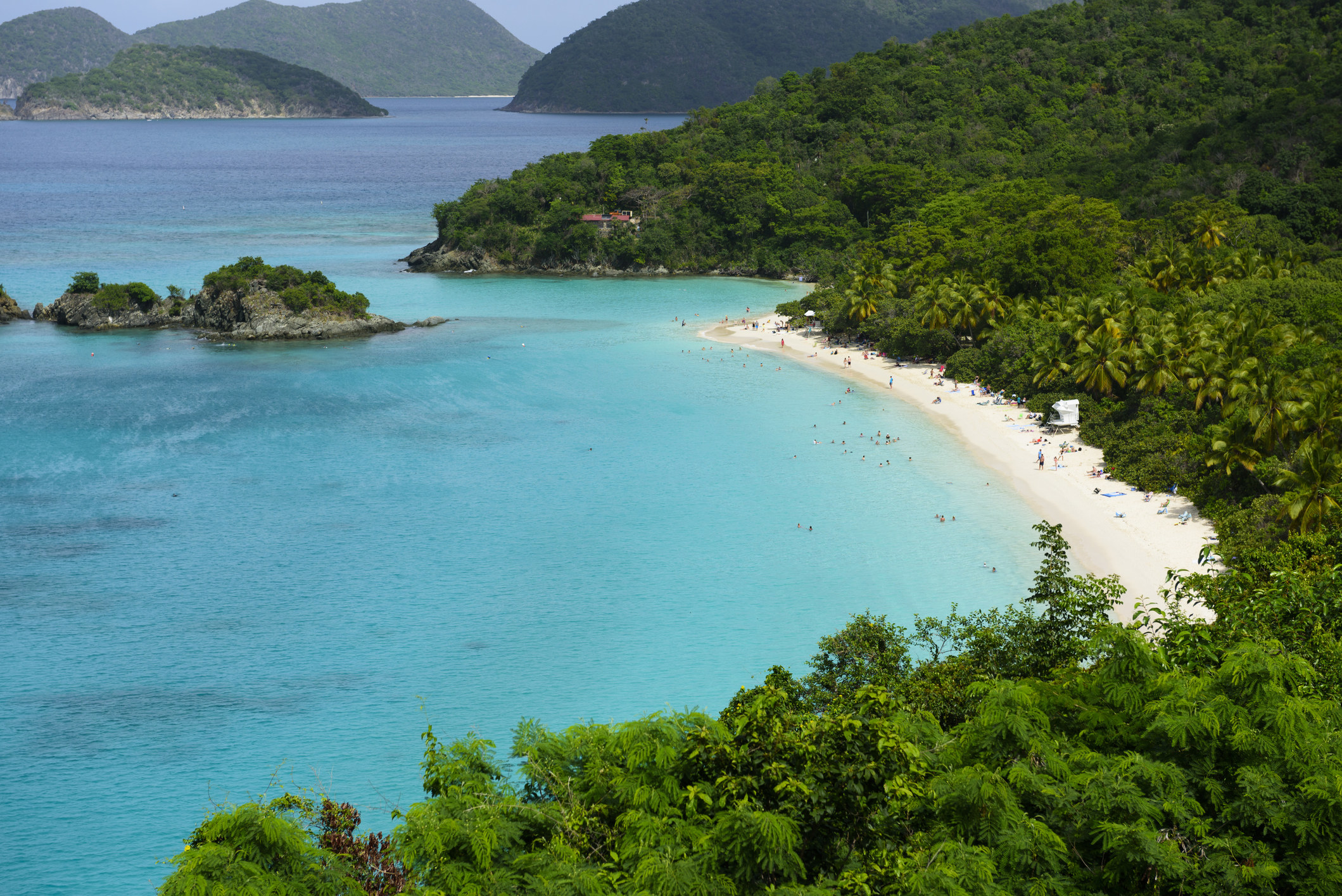 A blue crescent-shaped beach surrounded by lush palm trees in Virgin Islands National Park.