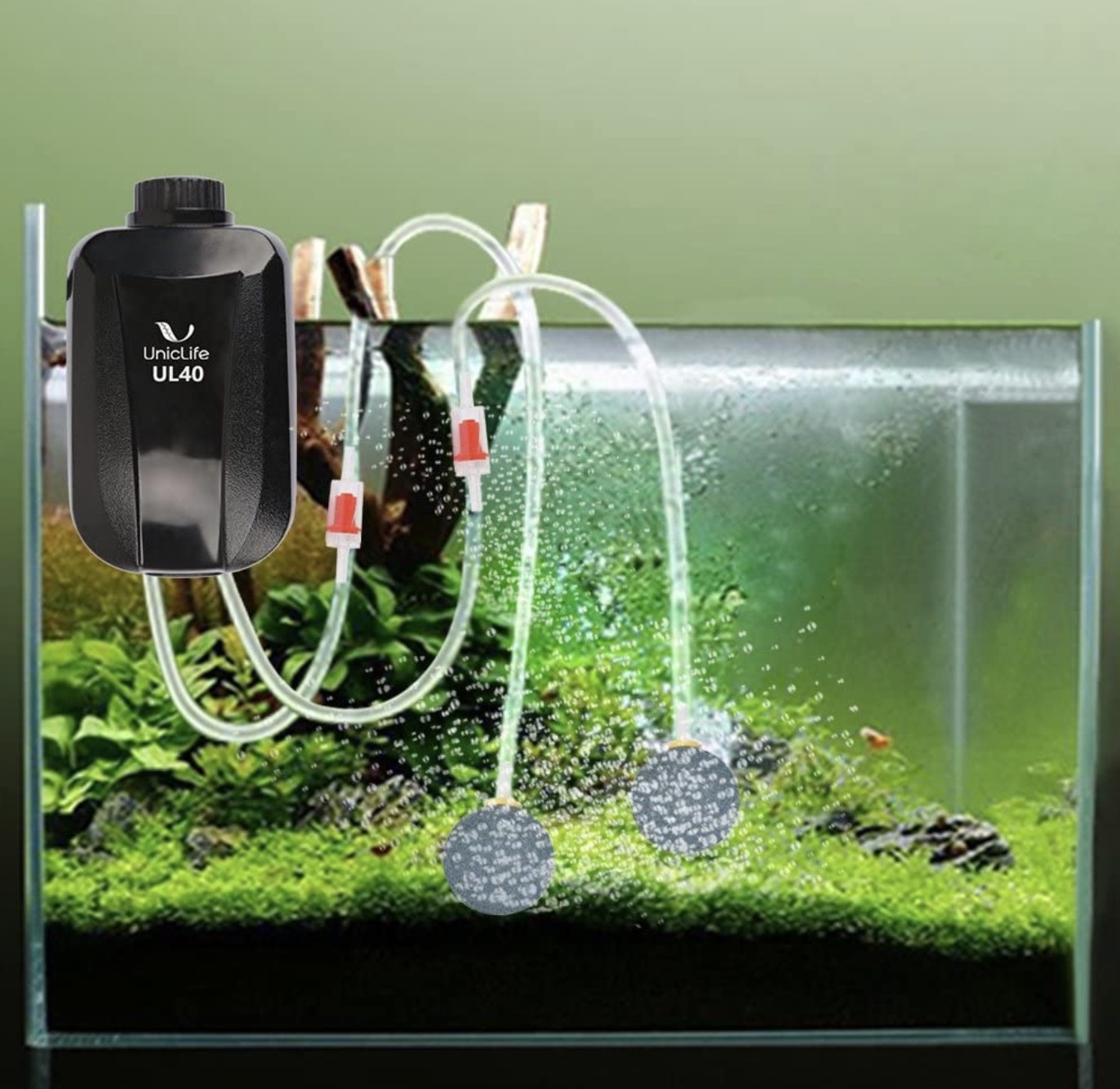 Air pump shown on a fish tank 