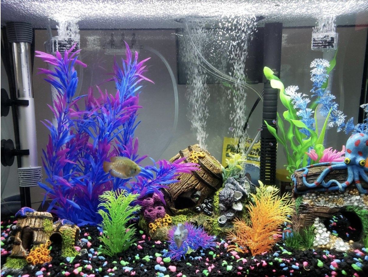 The colorful plastic plants in a fish tank 