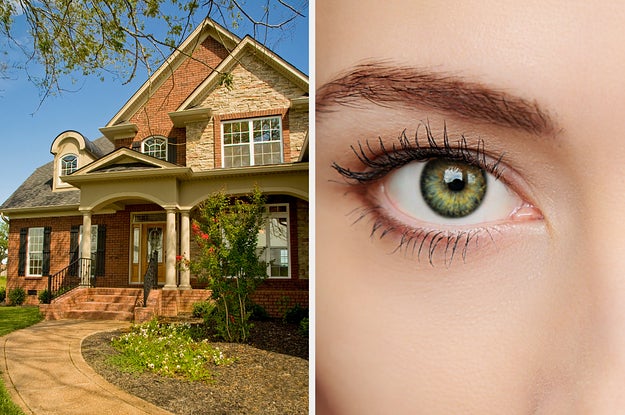 It's Kinda Weird, But We Can Guess Your Eye Color Based On The House You Build