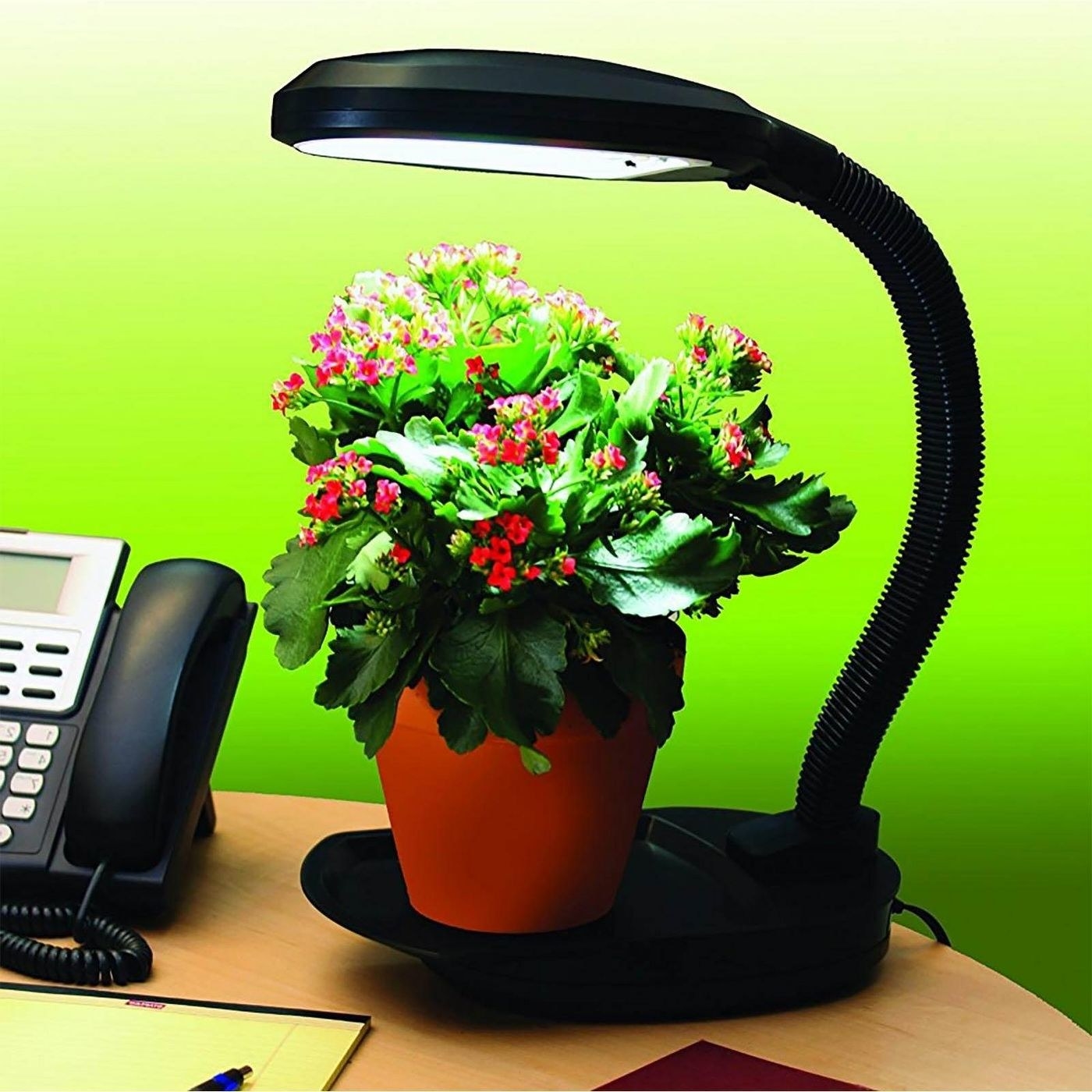 A plant on a desk under the black plant light 