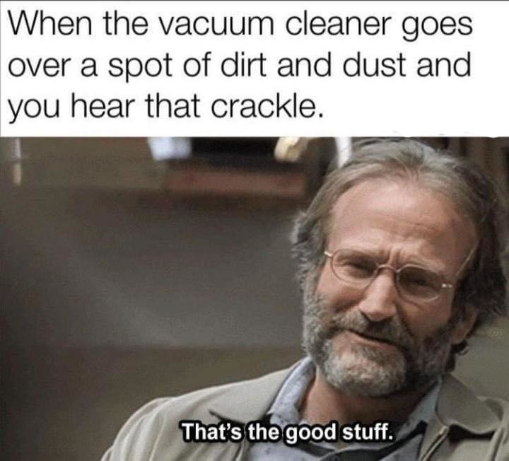 Meme that reads &quot;When the vacuum cleaner goes over a spot of dirt and you hear that crackle&quot; with Robin Williams saying &quot;That&#x27;s the good stuff&quot;