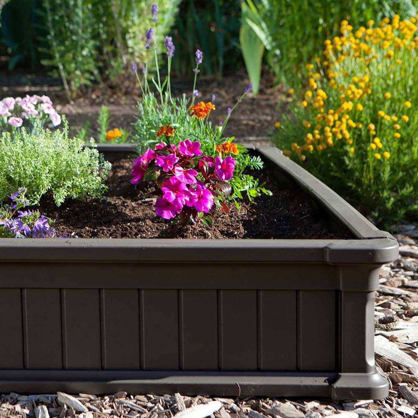 The brown raised garden bed with plants in it 