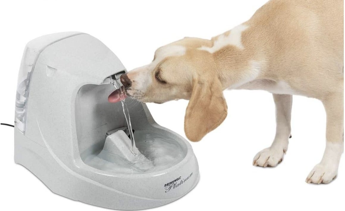 A light gray water fountain with a dog lapping up some water