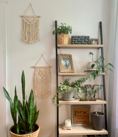 Reviewer&#x27;s macrame wall art next to a ladder bookshelf with plants