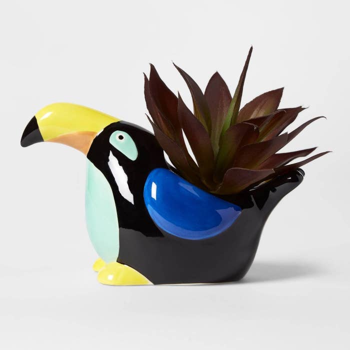 The toucan planter with a plant in it 