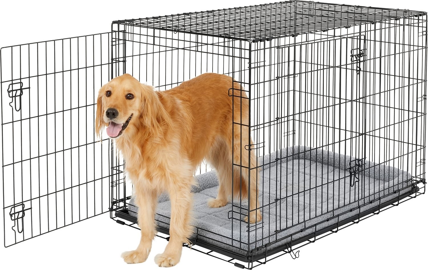 A Golden Retriever dog standing up in the metal dog crate.