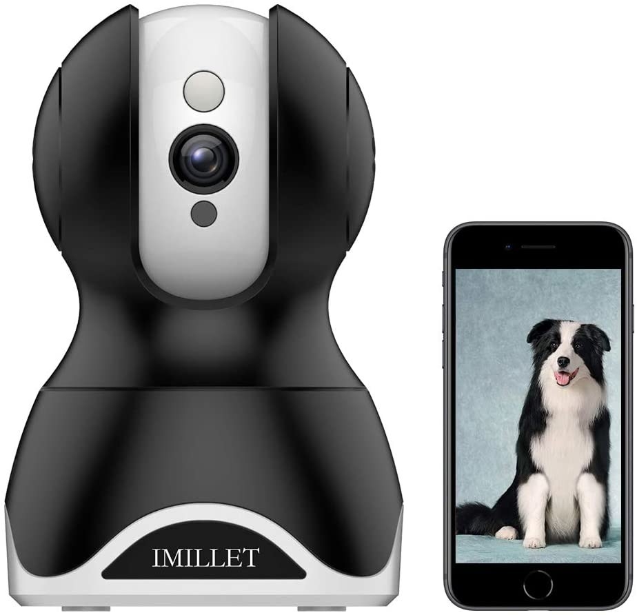 The IMILLET WiFi dog camera and a cell phone displaying a photo of a large Collie mix