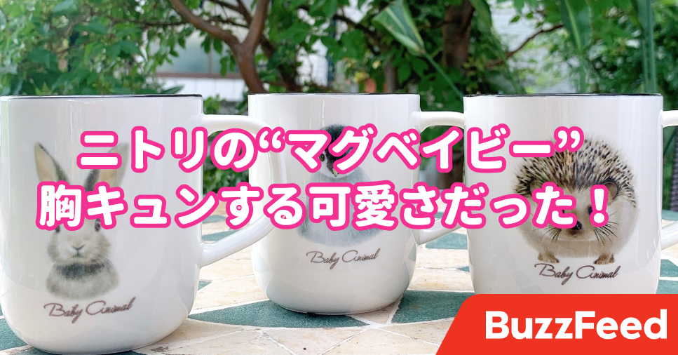 ニトリの 癒しのマグカップ が可愛すぎて全種類買ってしまった
