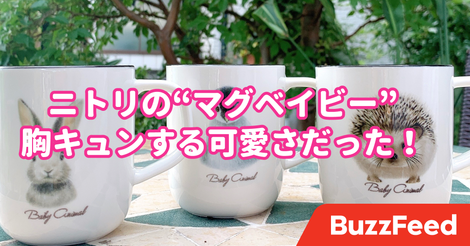 ニトリの 癒しのマグカップ が可愛すぎて全種類買ってしまった ニトリの 癒しのマグカップ が可愛すぎて全種類買ってしまった