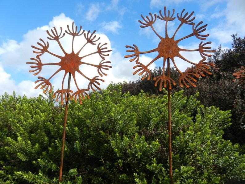 Two rusty metal dandelion sculptures in a yard