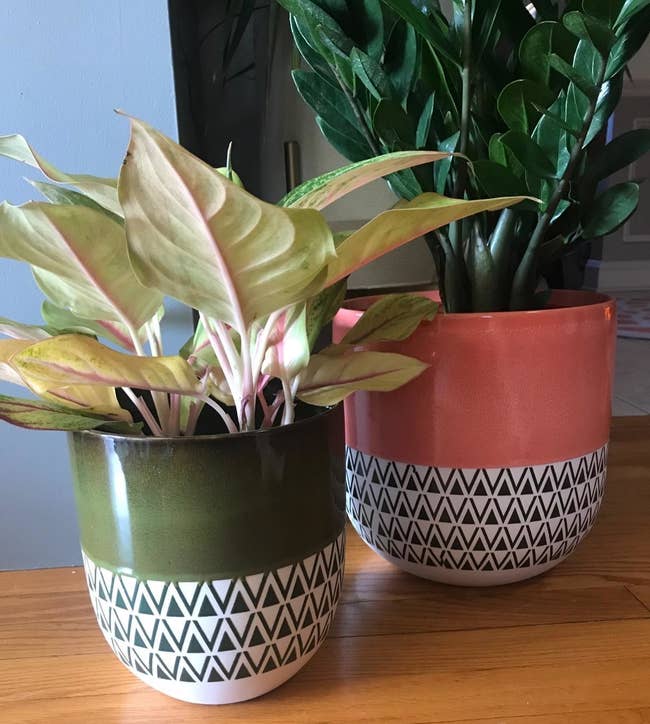 Two two-toned planters, one in moss and one in coral