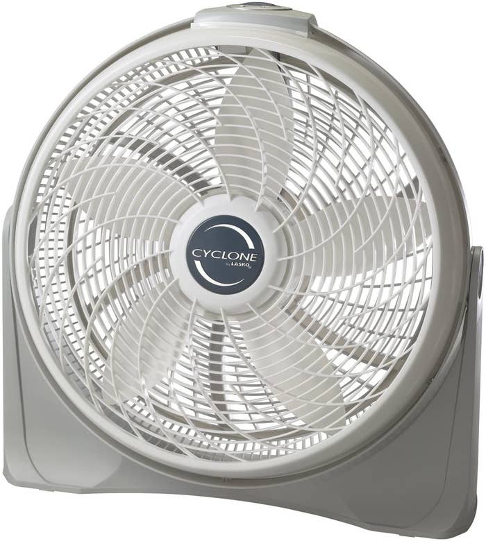 The fan