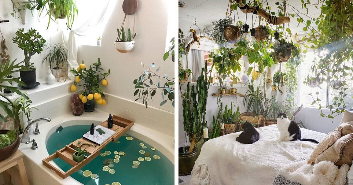32 Photos Of Indoor Gardens That Are Borderline Erotic