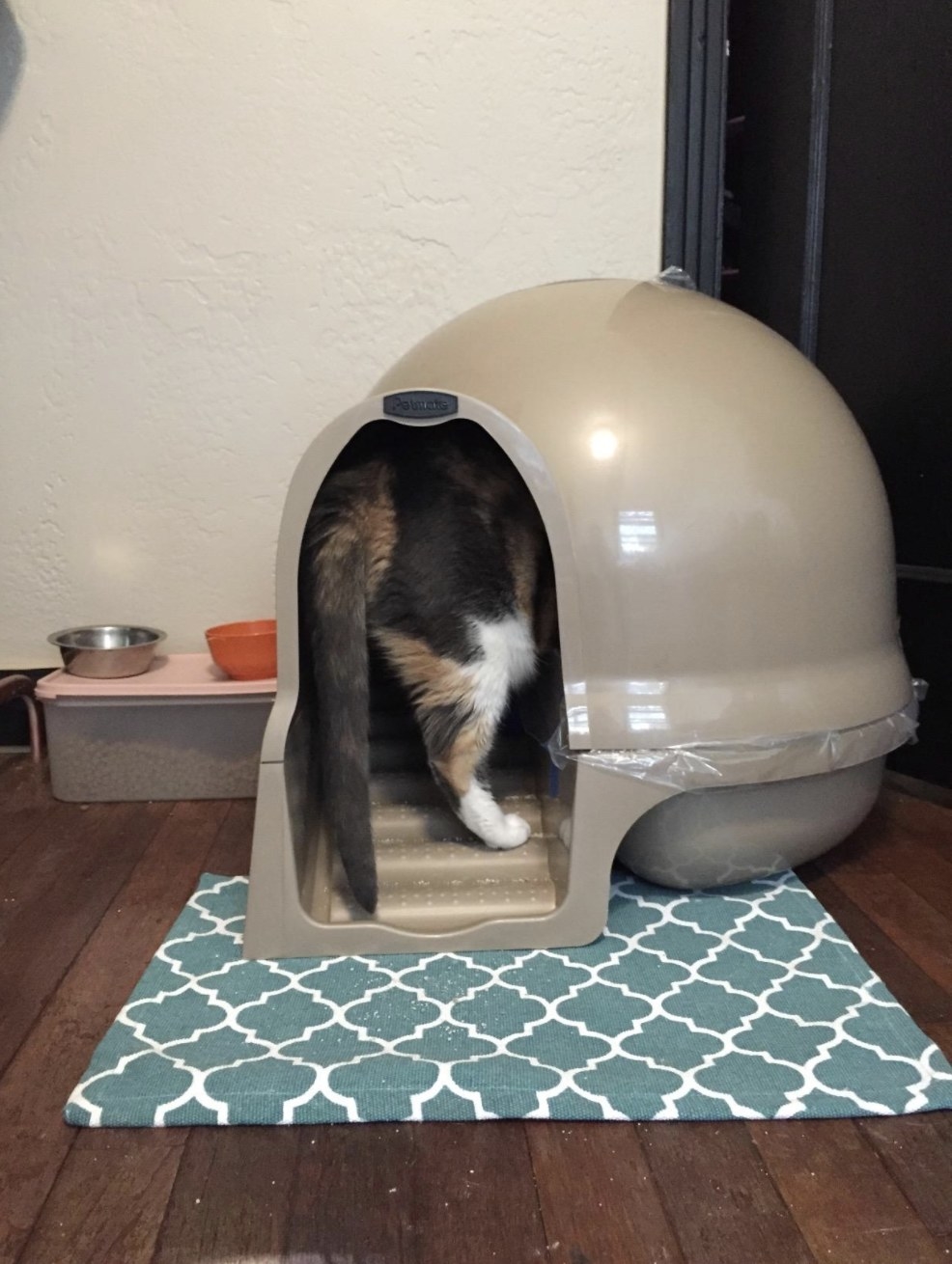 Dome shaped litter clearance box