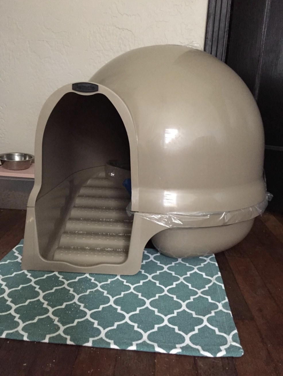 litter box with steps
