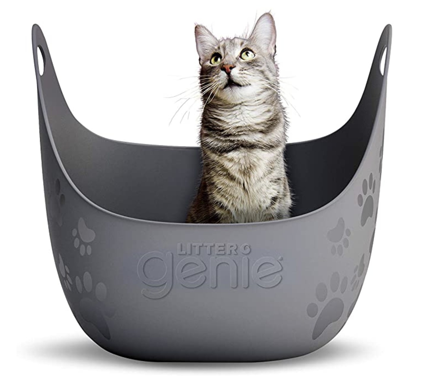 An image of a grey cat inside a litter box shaped like a bowl with flexible handles on each side. 