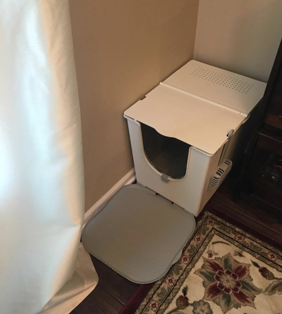 13 Of The Best Litter Boxes You Can Get On Amazon