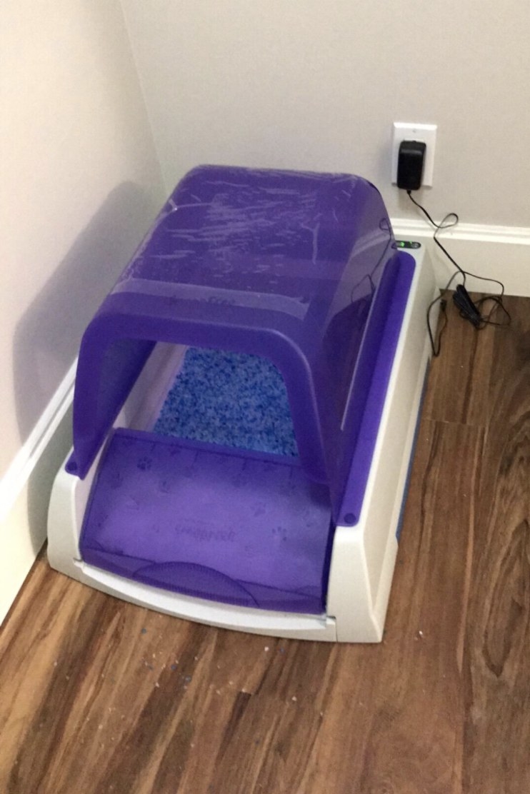 An image of a purple and white automatic self-cleaning litter box with a hood.