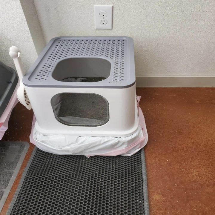 13 Of The Best Litter Boxes You Can Get On Amazon