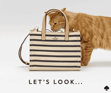 A gif of a cat sticking their head into a Kate Spade purse. 