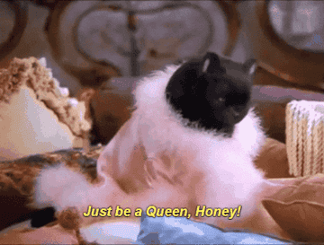 A gif of the black cat from Sabrina The Teenage Witch wearing a pink fur robe with the caption &quot;Just be a Queen, Honey!&quot;. 