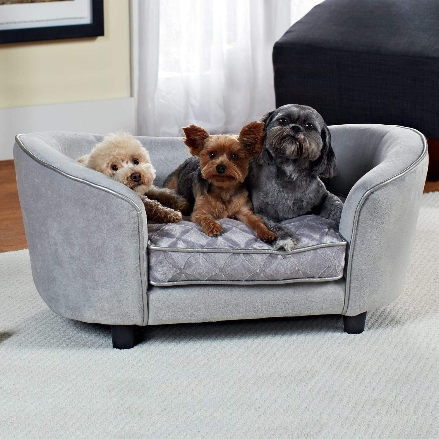 Three dogs sitting on the mini sofa bed 