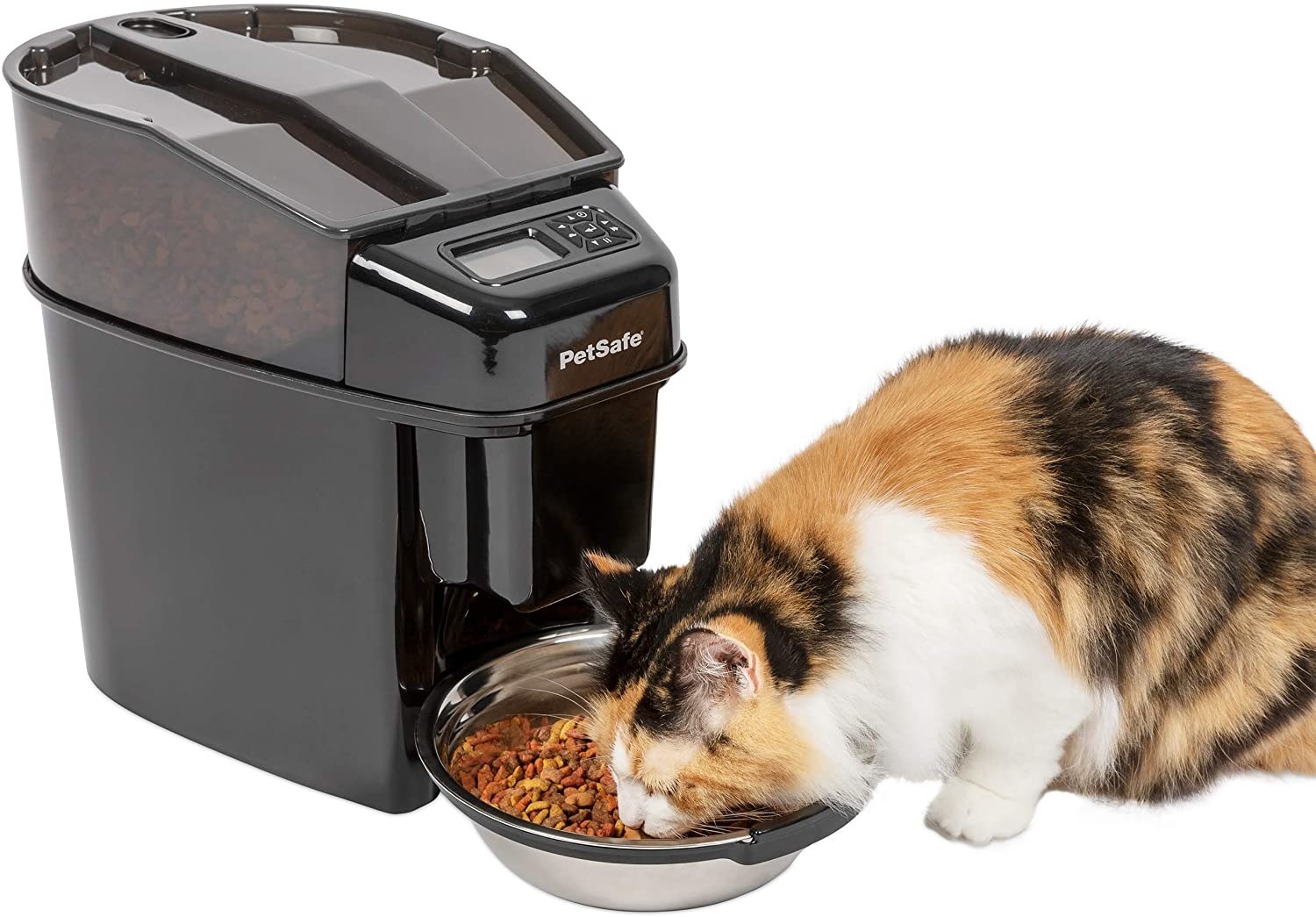 Cat eating out of stainless steel bowl in front of the auto feeder