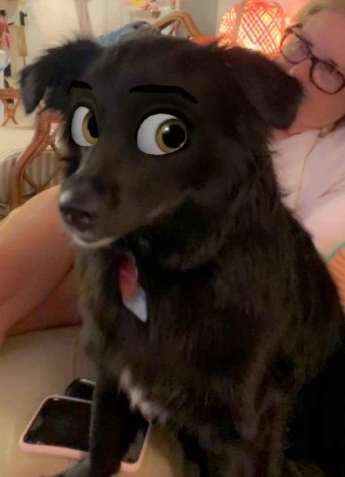 This Snapchat Filter Makes Your Dog Look Like A Disney Cartoon