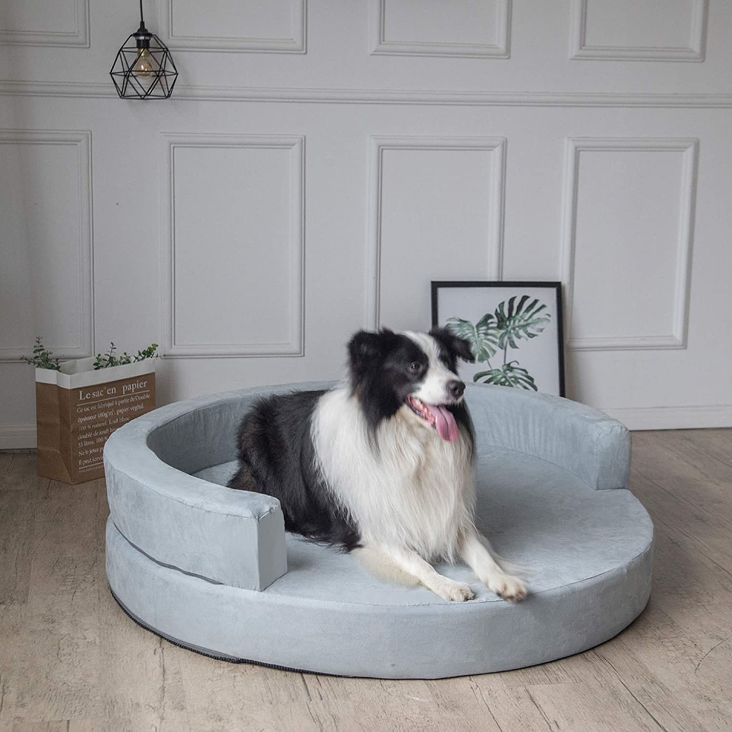 Dog laying in the stylish, circular bed 