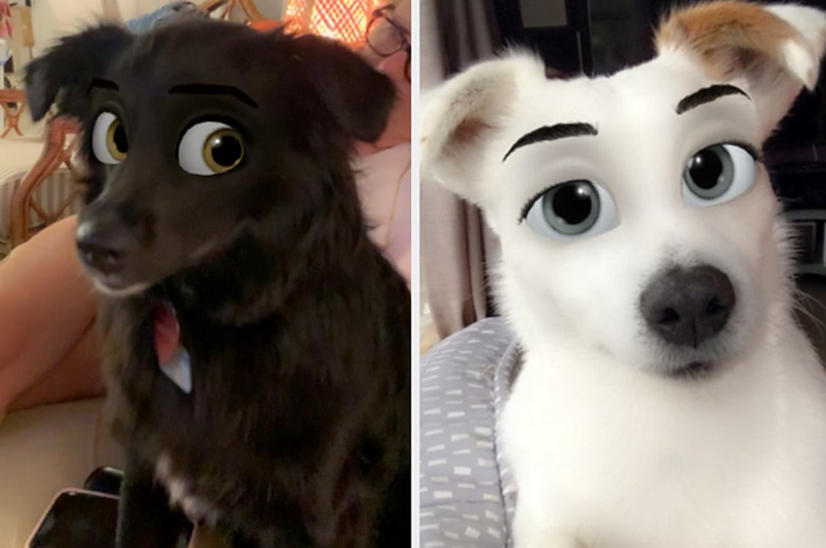This Snapchat Filter Makes Your Dog Look Like A Disney Cartoon