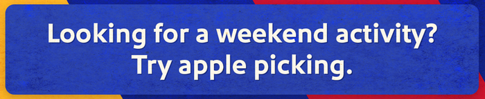 Looking for a weekend activity? Try apple picking.