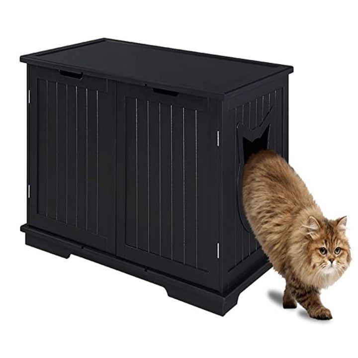 13 Of The Best Litter Boxes You Can Get On Amazon