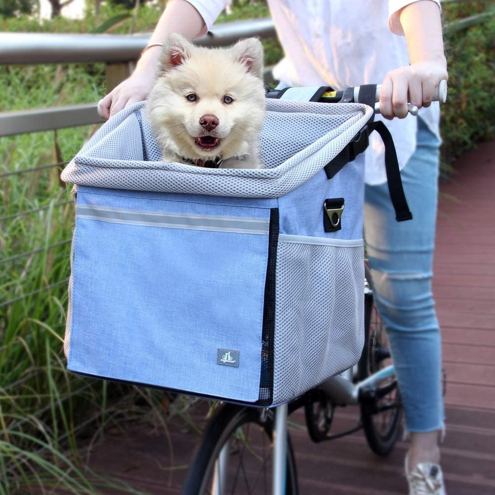 Dog sitting in the large blue fabric bike basket 