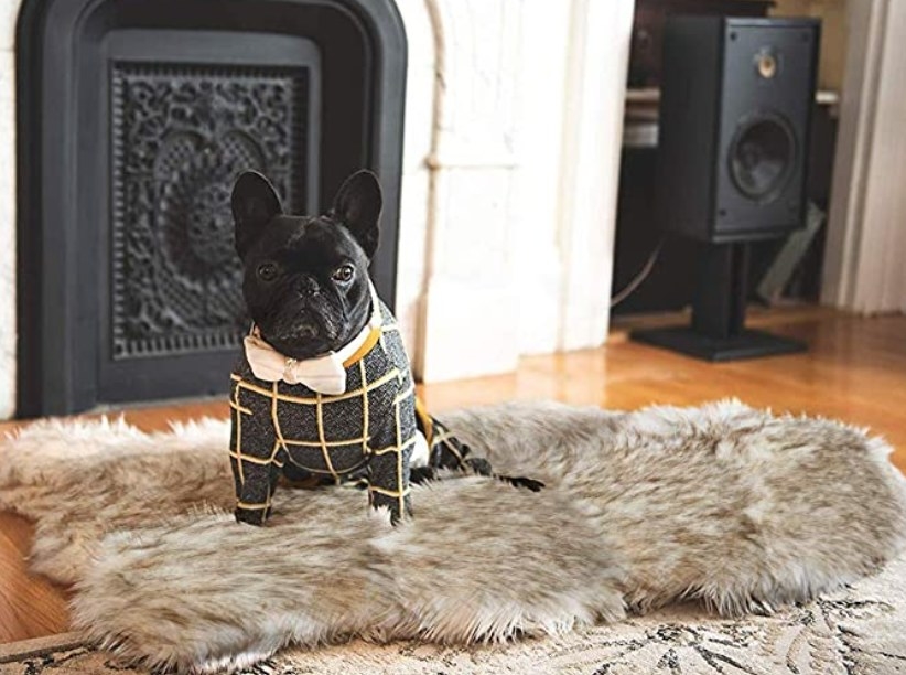 Dog sitting on the faux fur rug-like mat 